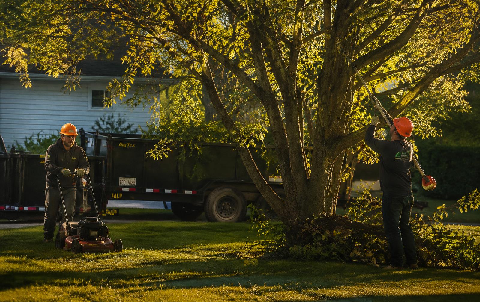 Crew mowing and trimming a tree, trailer behind